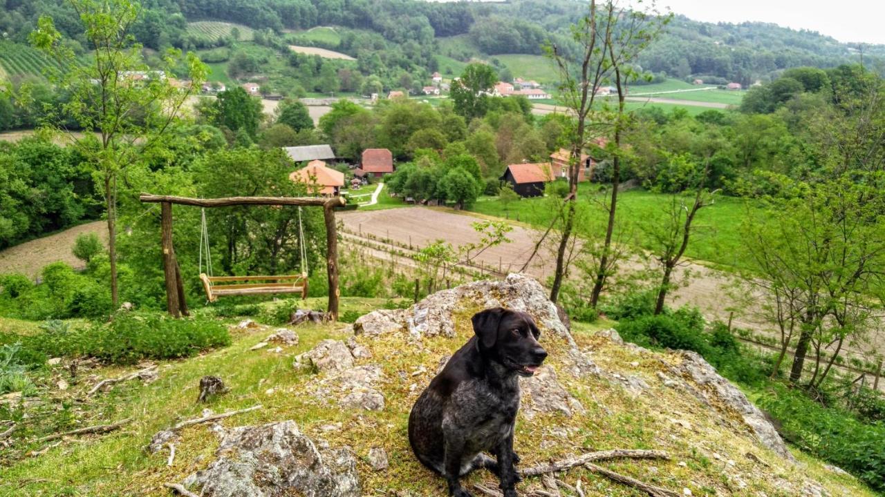 Country House Lozanjska Terasa Guest House Exterior foto